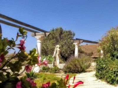 TFS - 192 Finca Ferienhaus Blick in den Garten