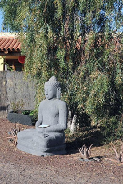 F-136 Buddha individuelles Ferienhaus Fuerteventura
