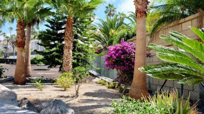 TFS-118 Penthouse Ferienwohnung Teneriffa