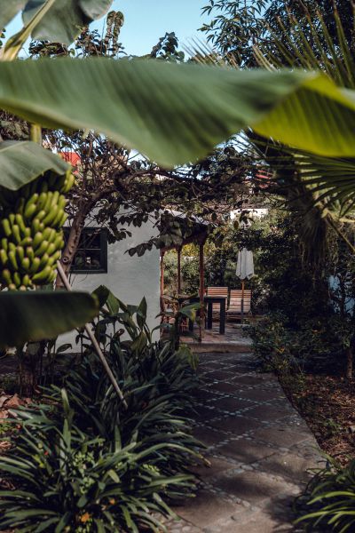 Freistehende Finca Teneriffa Nord - Blick in den Garten