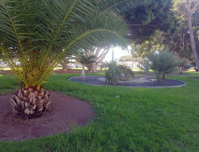 Park Ferienhaus Puerto Rico