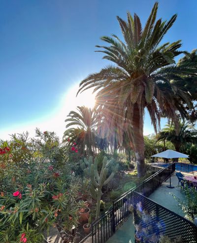 Ferienwohnung P-174 La Punta Palmen Garten