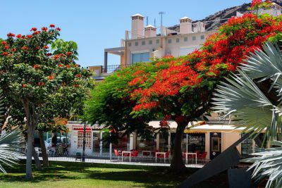 Ferienwohnung Gran Canaria in Puerto de Mogan