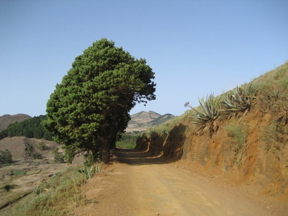 Landschaftsaufnahmen El Hierro