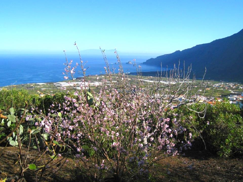 Frontera El Hierro