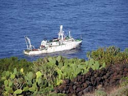 Landschaftsaufnahme El Hierro