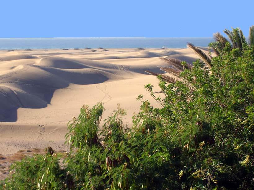 Dünen von Maspalomas