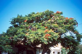 Landschaftsaufnahmen La Gomera