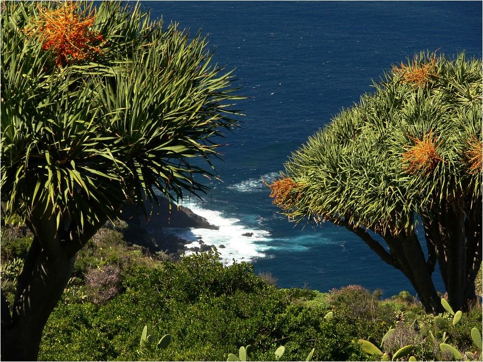 Landschaftsaufnahmen La Palma