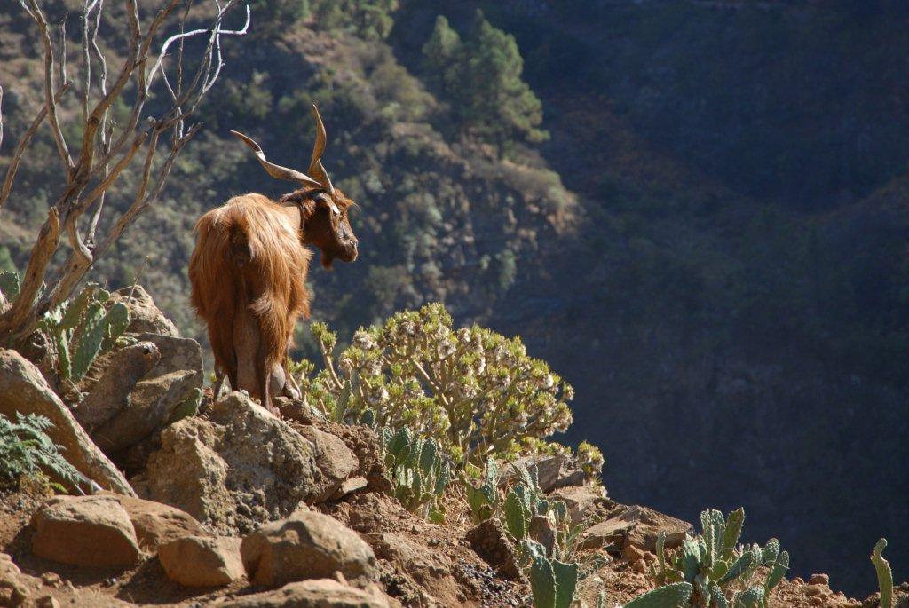 Landschaftsaufnahmen La Palma