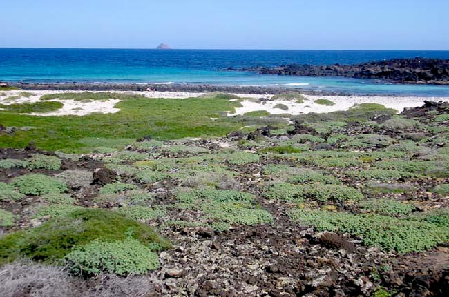 Der Nationalpark auf Lanzarote