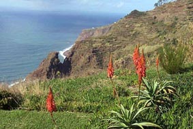 Landschaftsaufnahmen Madeira