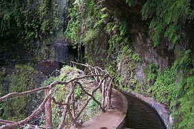 Landschaftsaufnahmen Madeira