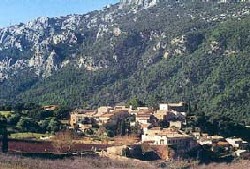 Landschaftsaufnahmen Mallorca